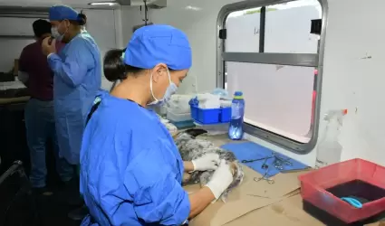 Esterilizaciones