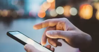 Celular