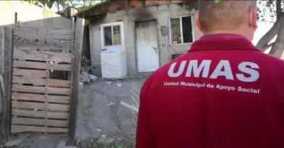 UMAS