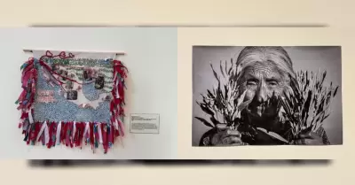 Exposiciones sobre identidad y memoria