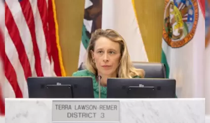 Terra Lawson-Remer