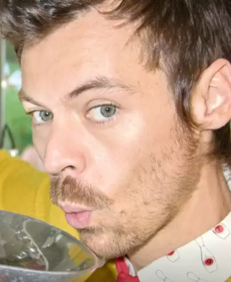 Harry Styles