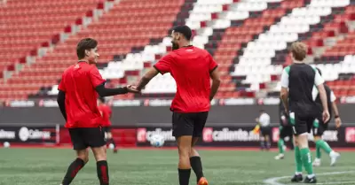 Xolos