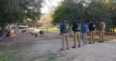 Fiscal�a rescata a canino y borrego