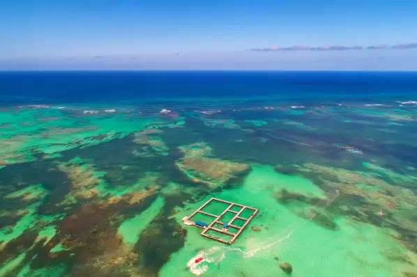 Experiencias en Cap Cana reconectan, educan y promueven conservaci�n ambiental.