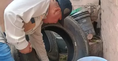 Dengue
