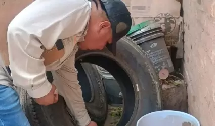 Dengue
