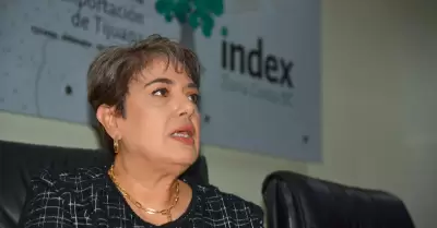 Mirna Ulbrich Labastida
