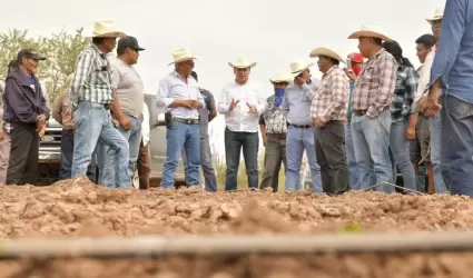 Sonora