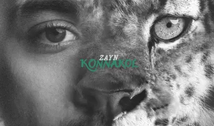 Zayn
