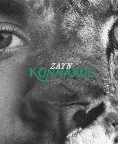 Zayn