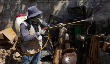 Dengue en Sonora