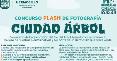 Ciudad �rbol