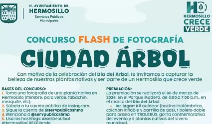 Ciudad �rbol