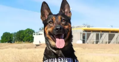Berta
