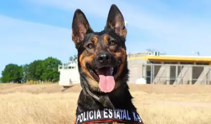 Berta