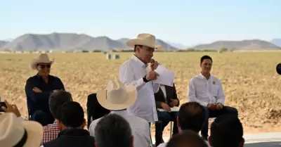 Gobernador Alfonso Durazo