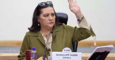 Guadalupe Taddei