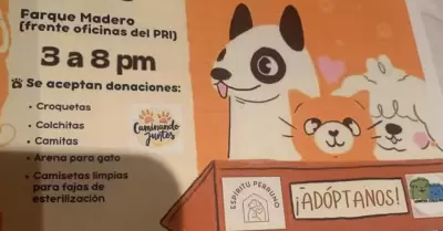 Feria de feria de adopci�n de perros y gatos