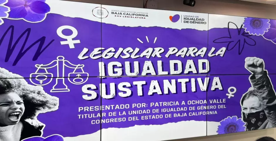 Capacitaciones en materia de g�nero