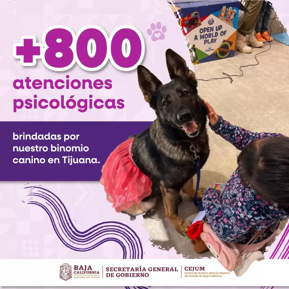 Brinda binomio canino m�s de 800 atenciones de acompa�amiento psicol�gico