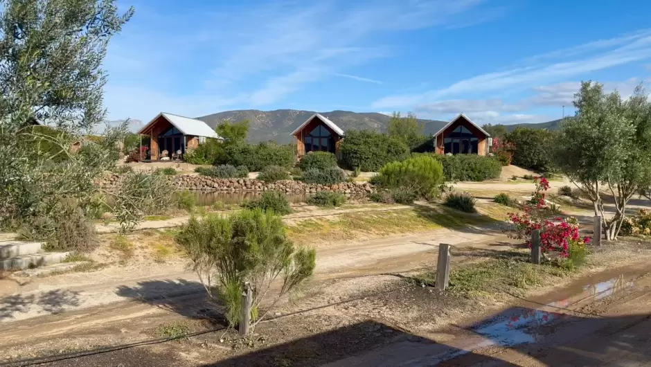 Valle de Guadalupe