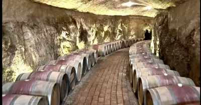 Valle de Guadalupe
