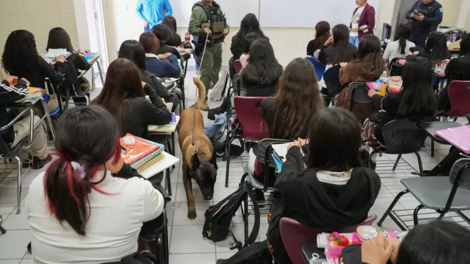 Programa 'Revisi�n de Pertenencias'