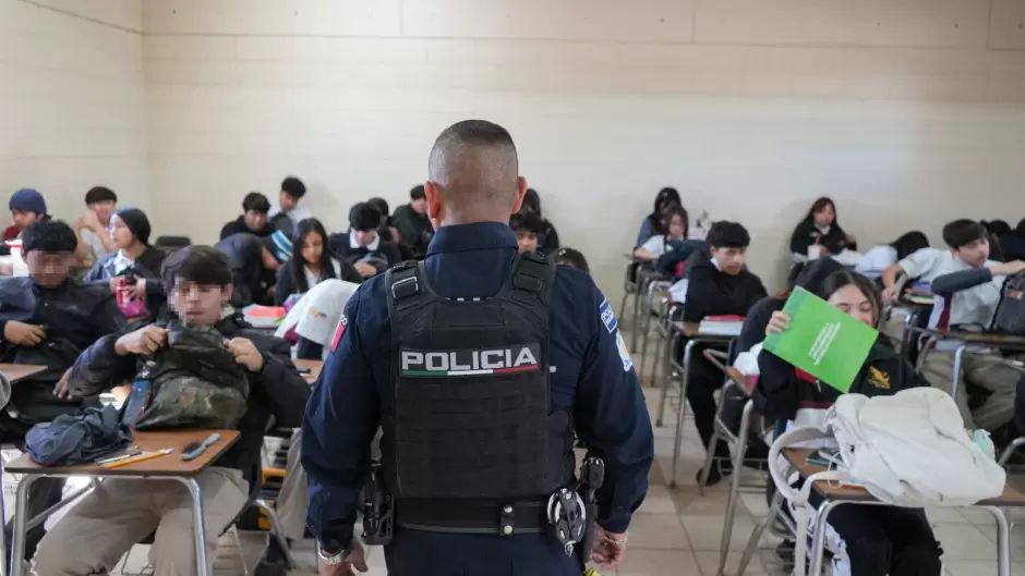 Programa 'Revisi�n de Pertenencias'