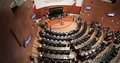 Senado