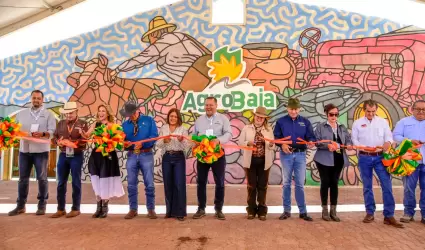 Agrobaja