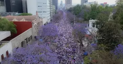 CDMX