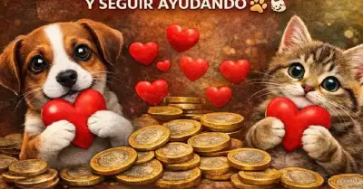 Patit�n 2026