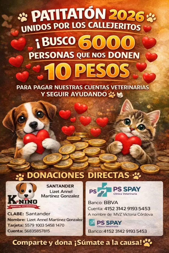 Patit�n 2026