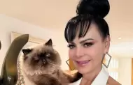 Maribel Guardia revela nuevo pleito por el testamento de su hijo Juli�n Figueroa