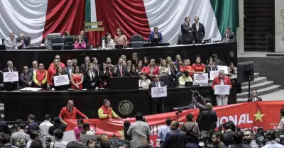 La Reforma Electoral fue desechada al no contar con la mayor�a calificada de vot
