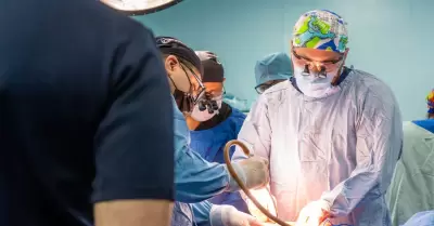 Importancia de la donaci�n de �rganos