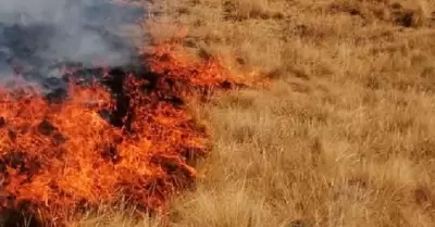 Incendio de maleza