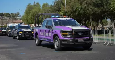 Escuadr�n violeta