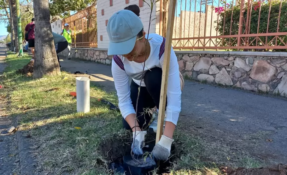 Plantan �rboles nativos en la Unison