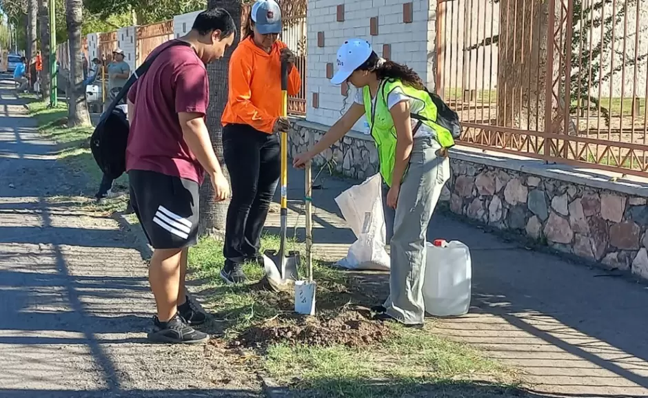 Plantan �rboles nativos en la Unison