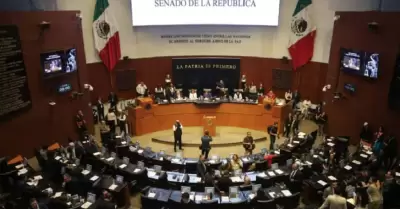 Senado