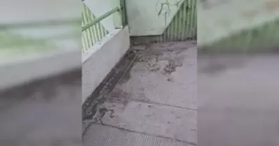 ,