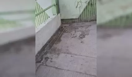 ,