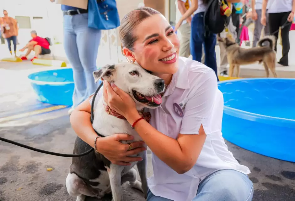Realizan mega jornada de esterilizaci�n y salud animal en Mexicali