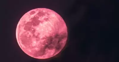 Luna Rosa