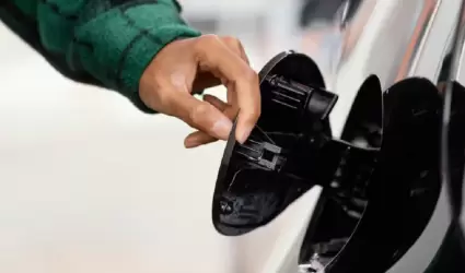 Gasolina