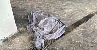 Muere aficionado