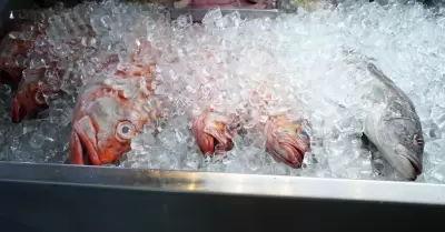 marisco