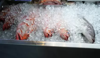 marisco